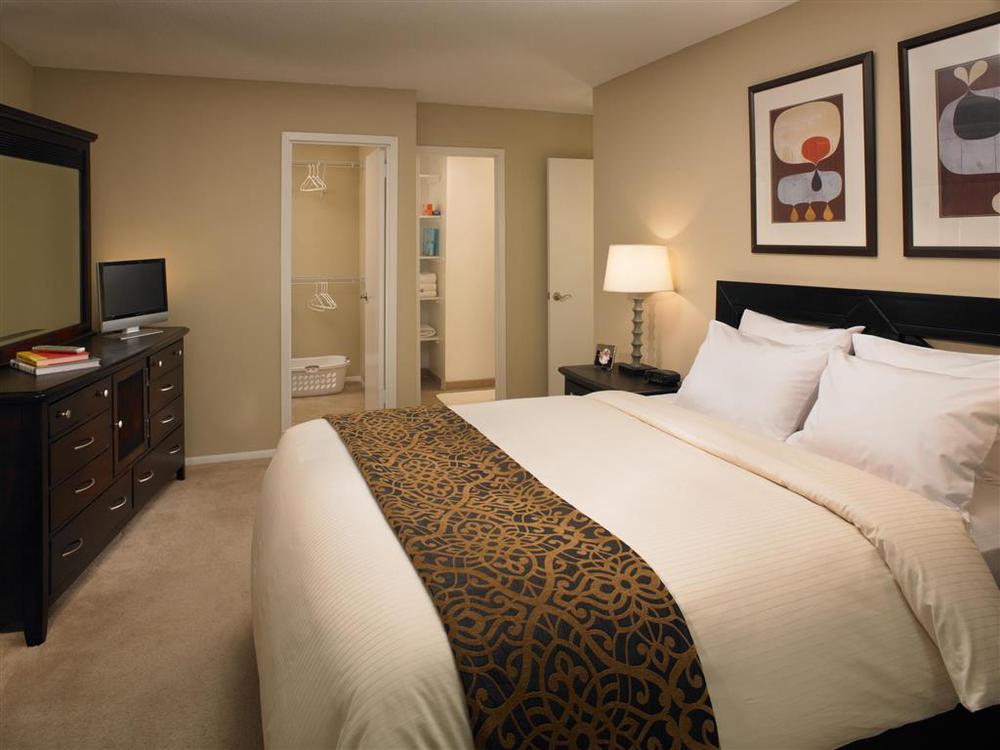 Mainsail Suites Hotel & Conference Center Tampa Quarto foto